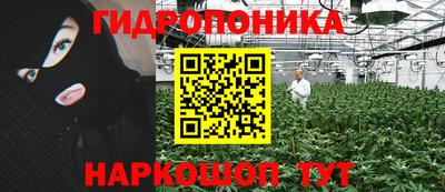 дмт Будённовск