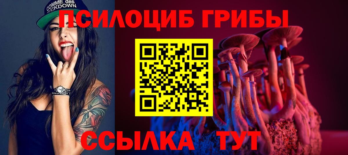 как найти наркотики  Псилоцибиновые грибы GOLDEN TEACHER  Калач-на-Дону  Вход с VPN  Галлюциногенные грибы Psilocybe 