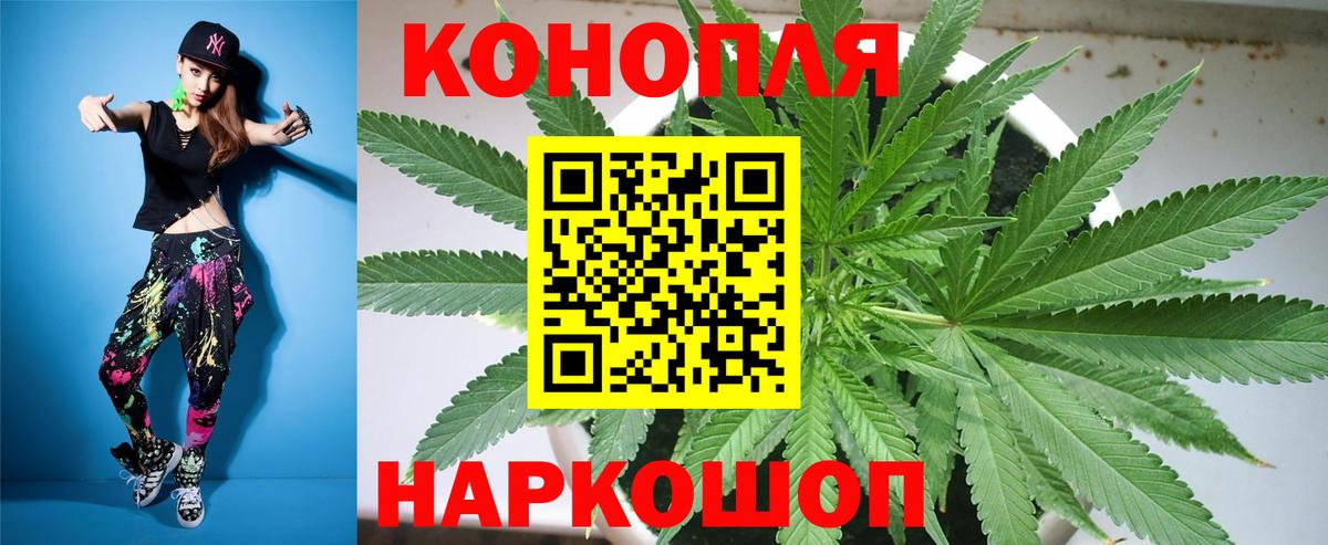 Калач-на-Дону  Канабис планчик  Конопля марихуана  Каннабис планчик  Канабис сатива  Вход с VPN 